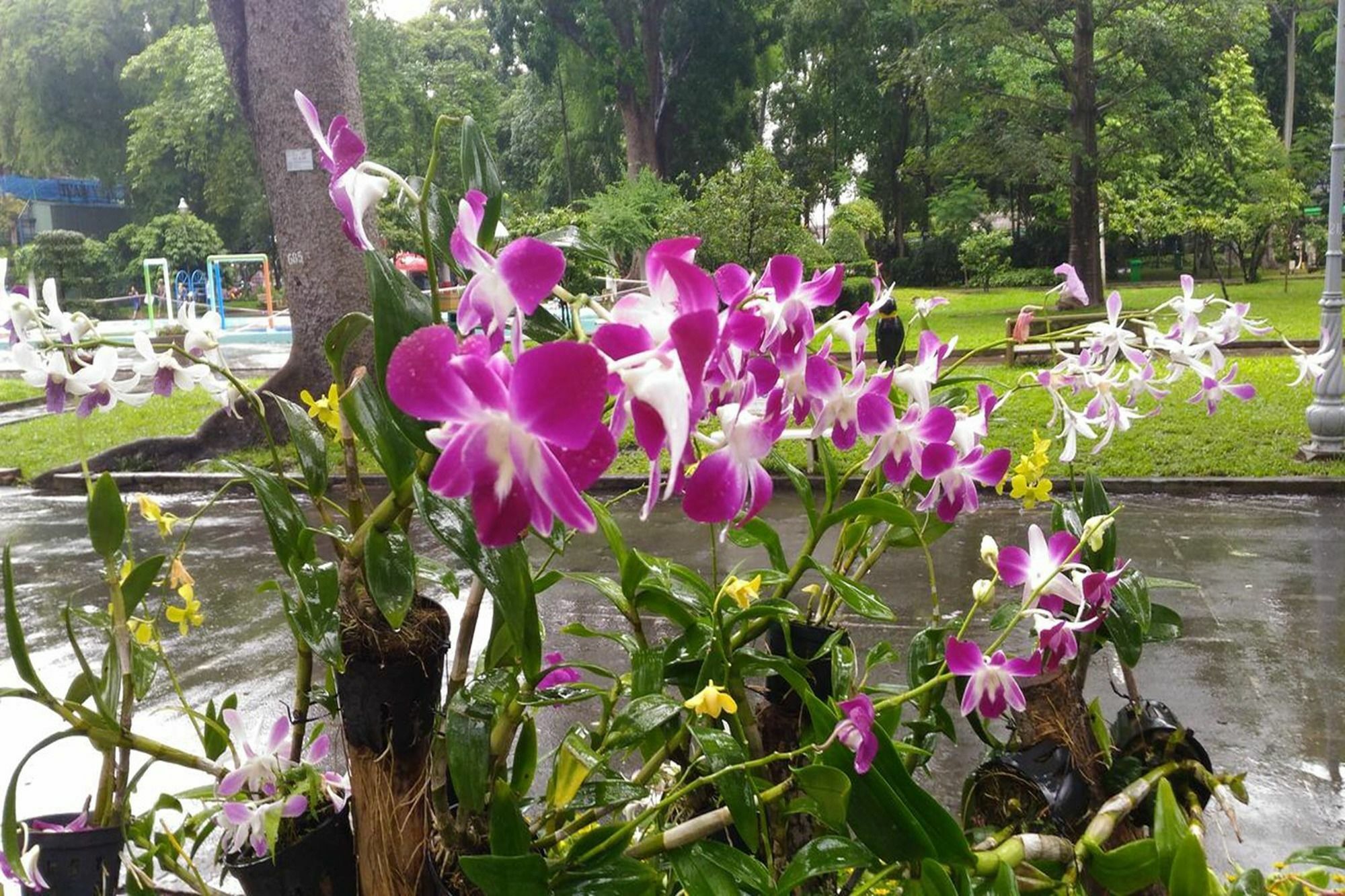 Riverside Serviced Apartments Ho Chi Minh City Bagian luar foto